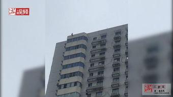 石家庄天苑爆料案件最新,揭秘背后惊人真相