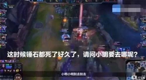 野兽先生作假的爆料视频,揭秘娱乐圈潜规则与虚假宣传  第2张