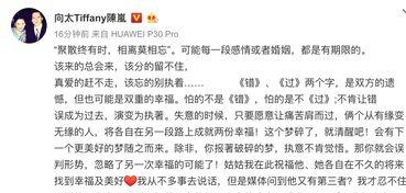 向太最新爆料,娱乐圈不为人知的真相大揭秘  第2张