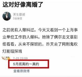 向太最新爆料,娱乐圈不为人知的真相大揭秘  第3张